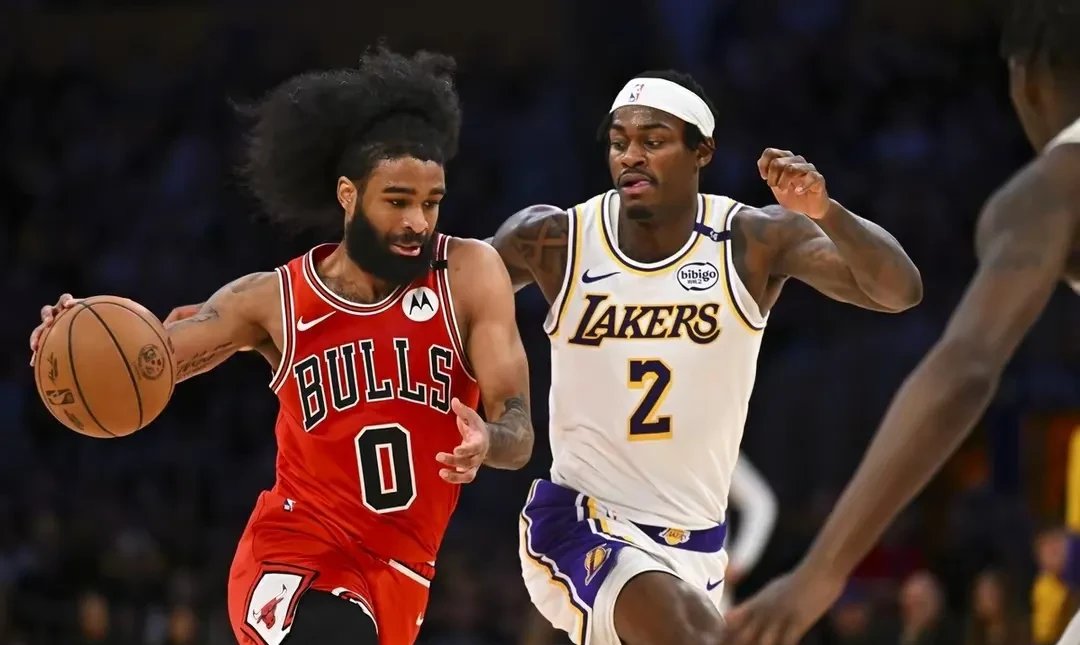 公牛豪取横扫，击败黄蜂