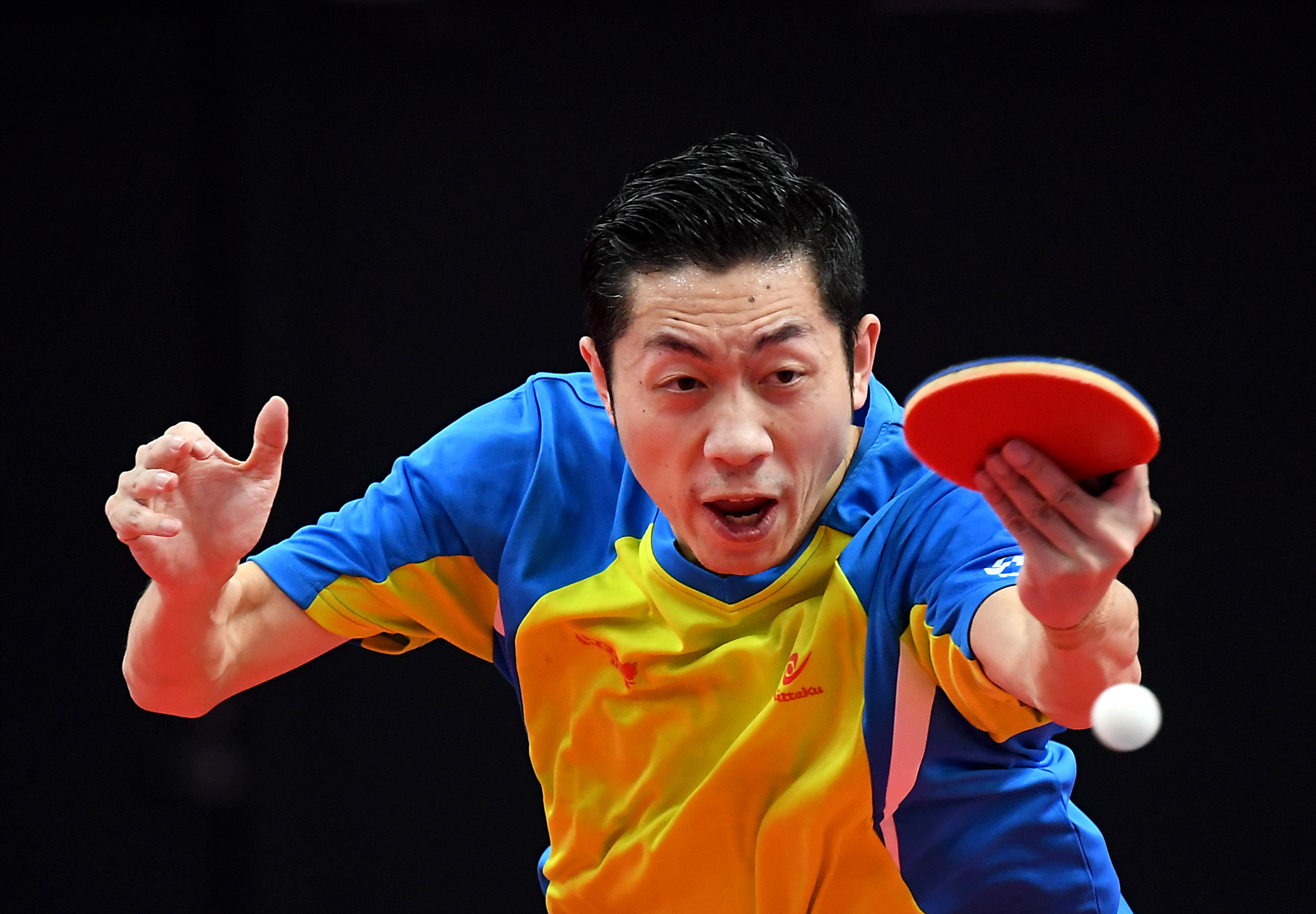 开云体育入口-关于德国乒乓球队爆冷奥地利乒乓球队，许昕打破历史纪录的信息