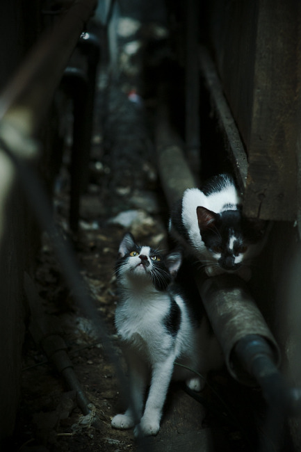 孔德今夜！临危救主与一锤定音，将争冠悬念定格在末轮