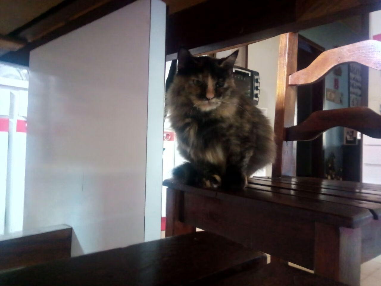 库里关键进球定乾坤，NBA季后赛之夜