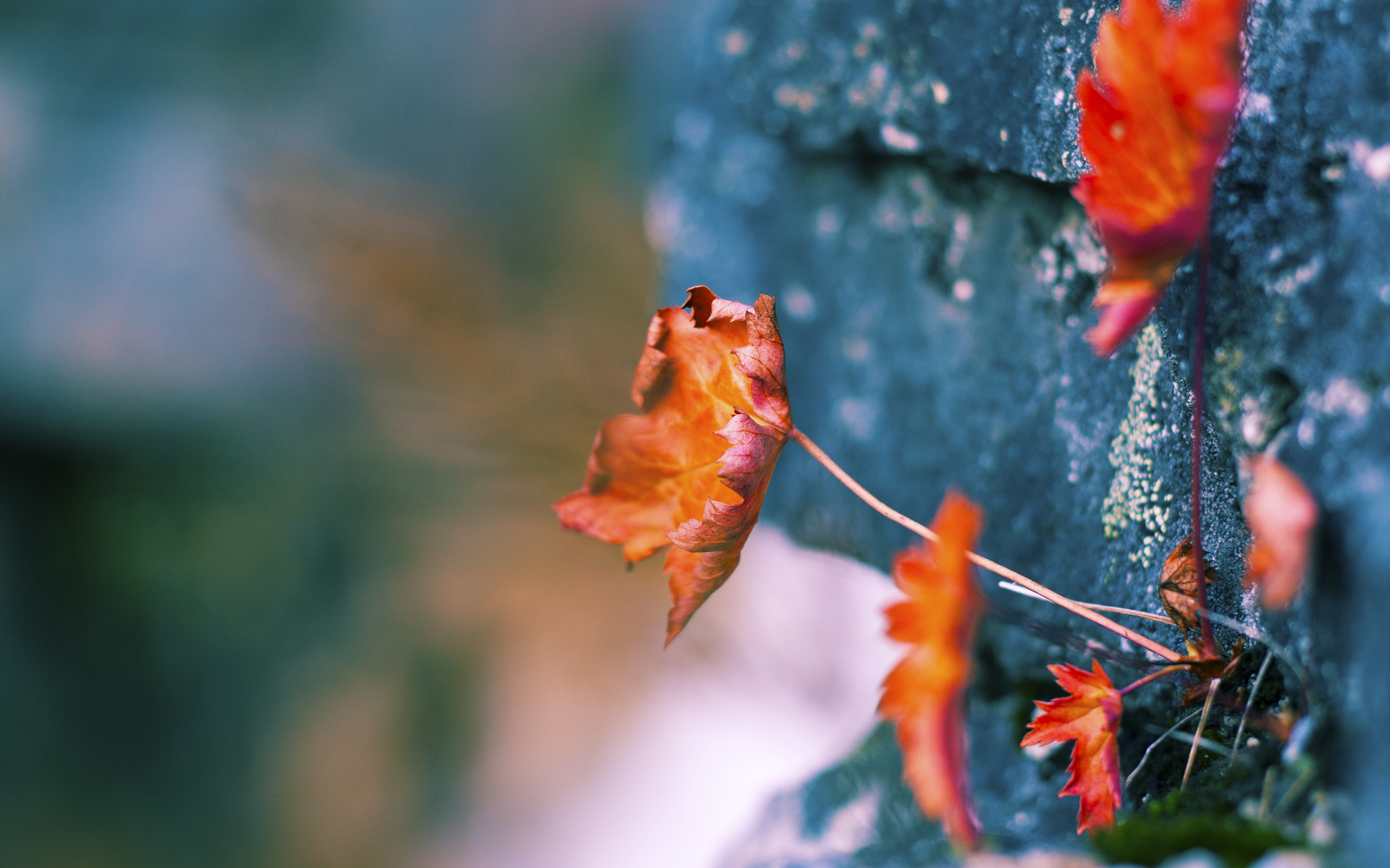 开云体育官方网站-绿茵场上的悬念消亡史，当金玟哉的定局时刻与瑞士的精密切割相遇