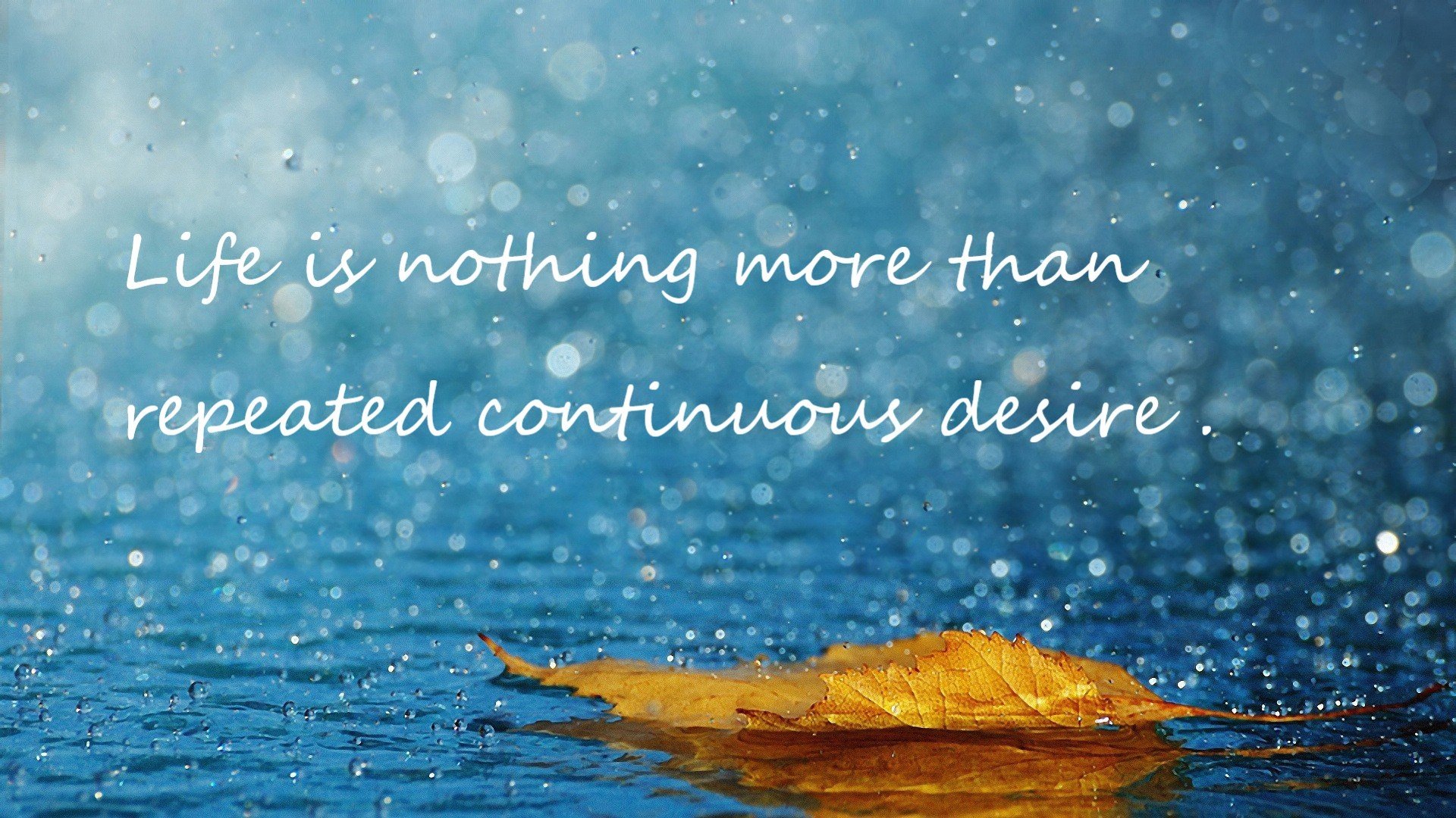 美加墨世界杯之夜，巴斯托尼铁闸锁死对手，意大利防线坚如磐石