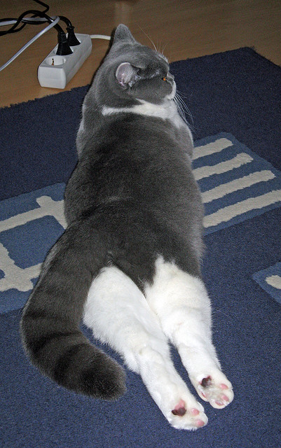 压哨绝杀！热火逆转太阳，季后赛悬念再起