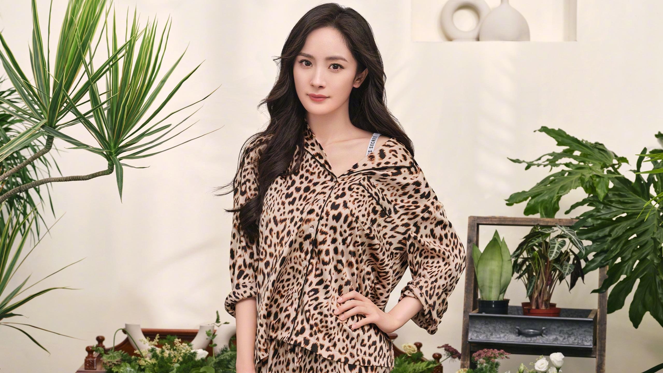 豪阵崩塌！独行侠逆境突围，总决赛焦点战正面击溃森林狼