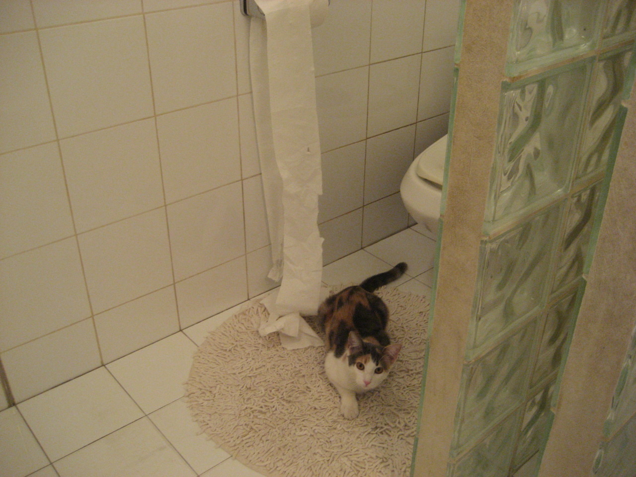 硬仗之王东契奇启示录，当雄鹿用纪律终结黄蜂