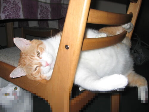 加拿大对阵爱尔兰，当金玟哉的飞踢超越纪录，亚洲足球的黄金时代悄然来临