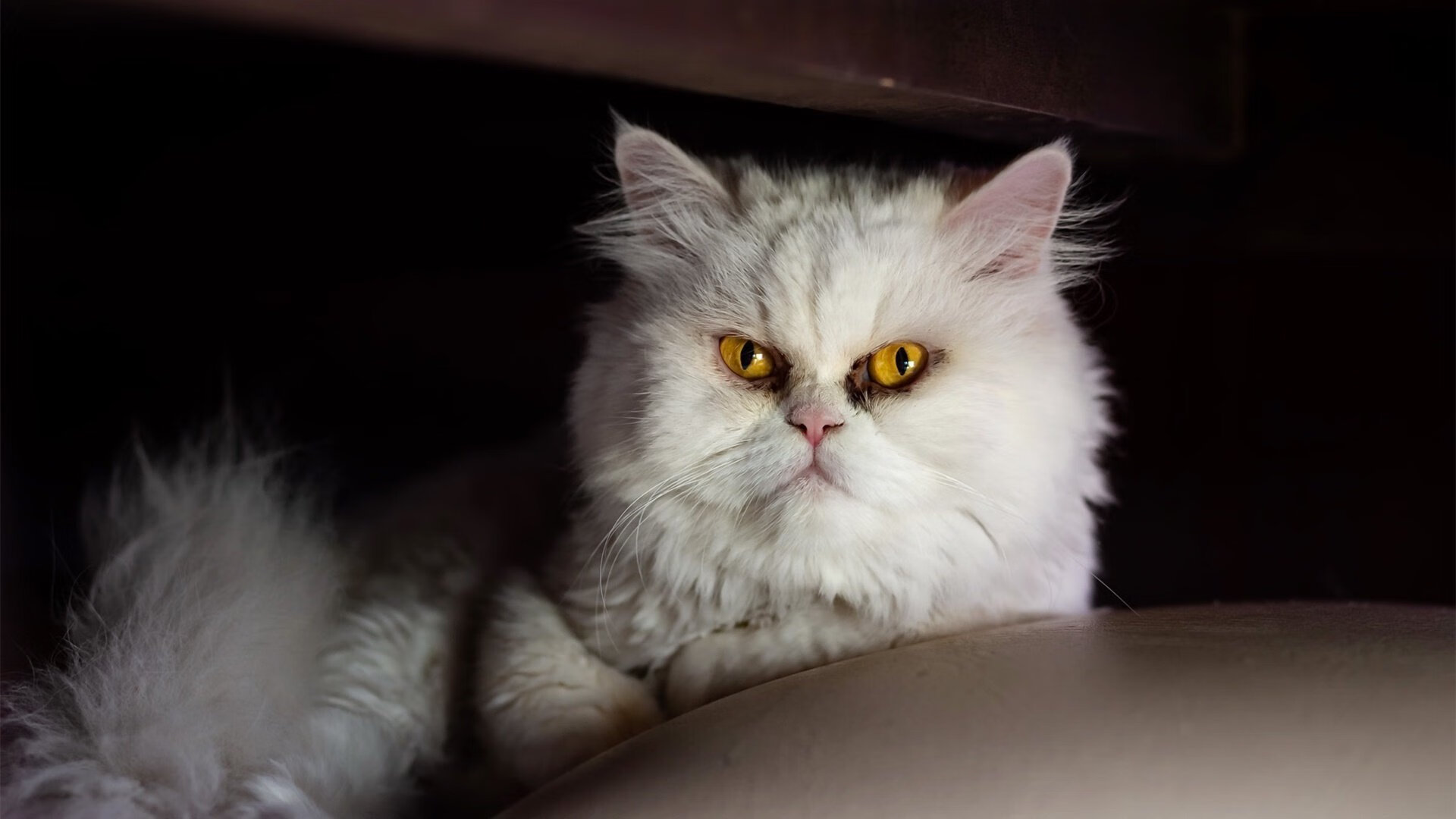 逆转与新生，欧冠决赛的东方神话