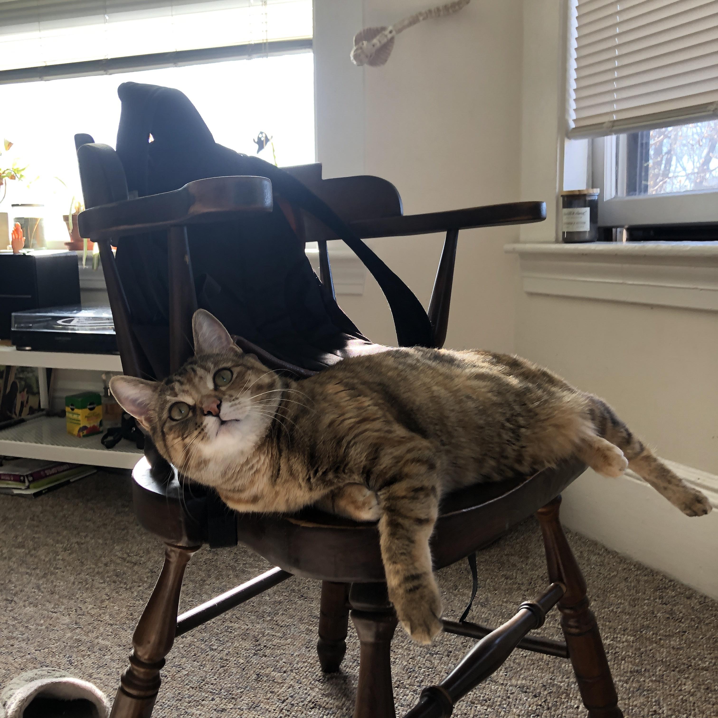 曼城卫冕夜！钢铁斯通斯9.8分征服天空体育，定义现代中卫新高度