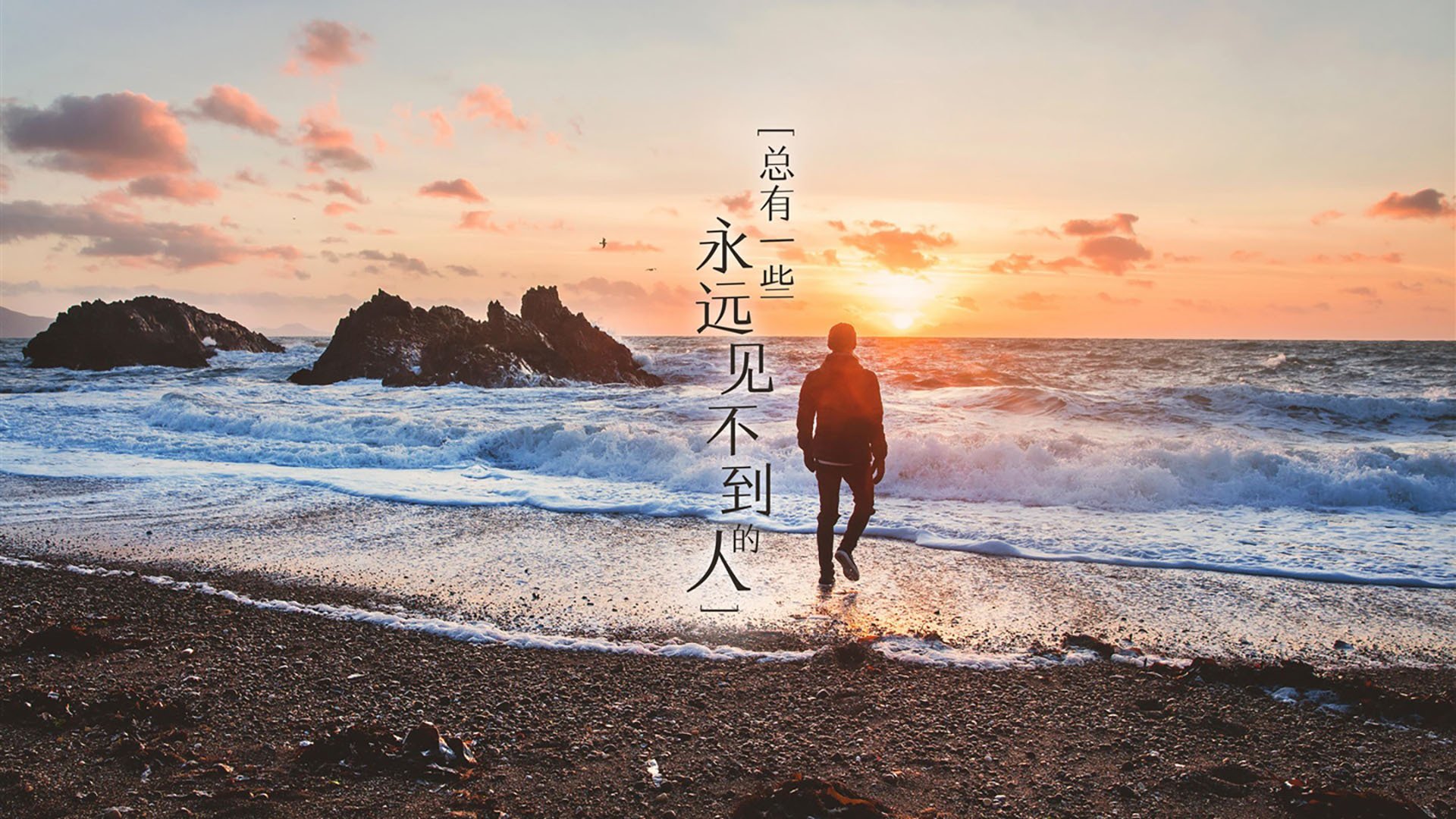 冰封火焰，文班亚马的无序哲学让浙江队战术沦为废墟