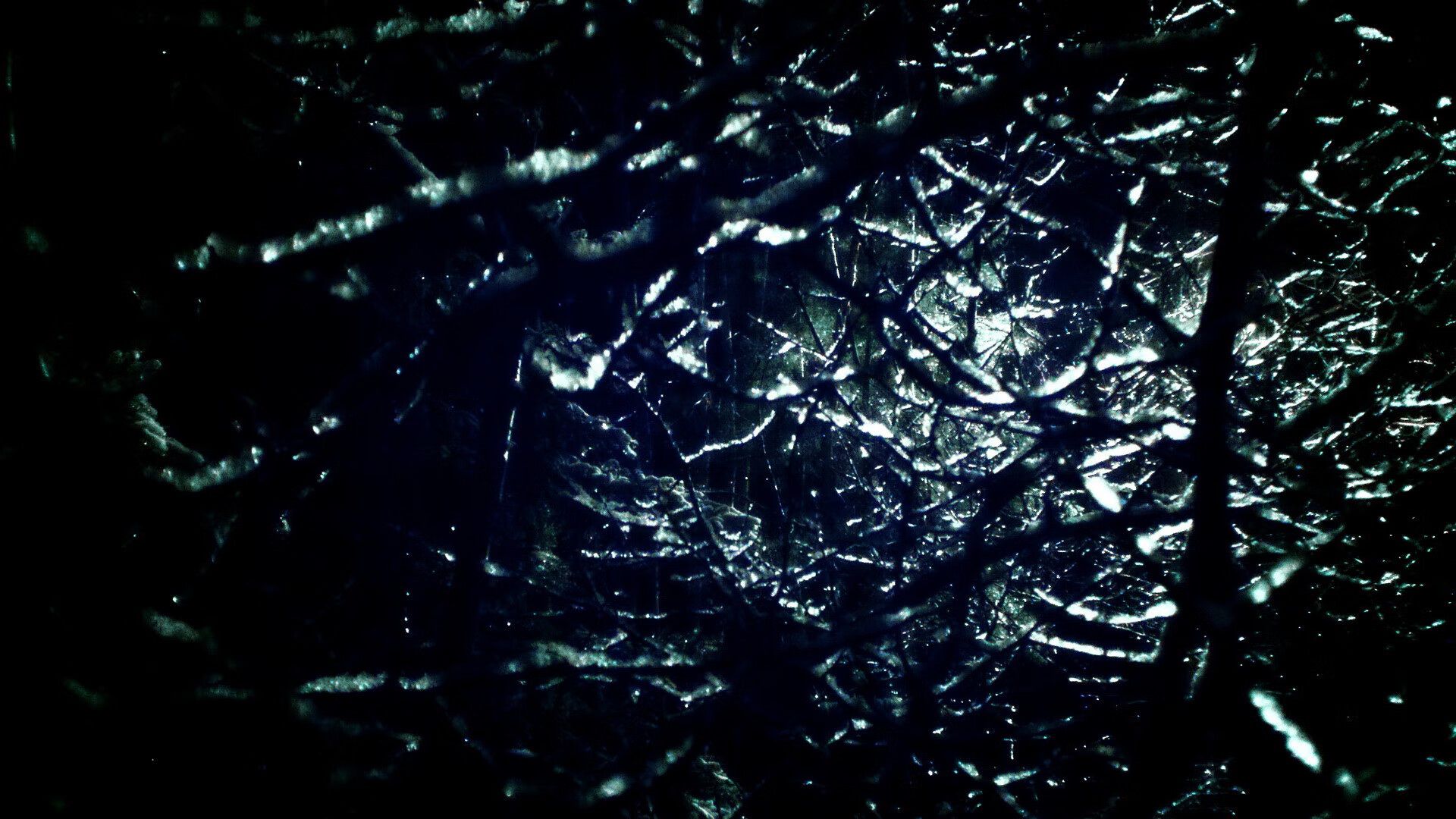 开云体育-伦纳德末节19分点燃赛场，黄蜂多点开花稳稳浇灭热火