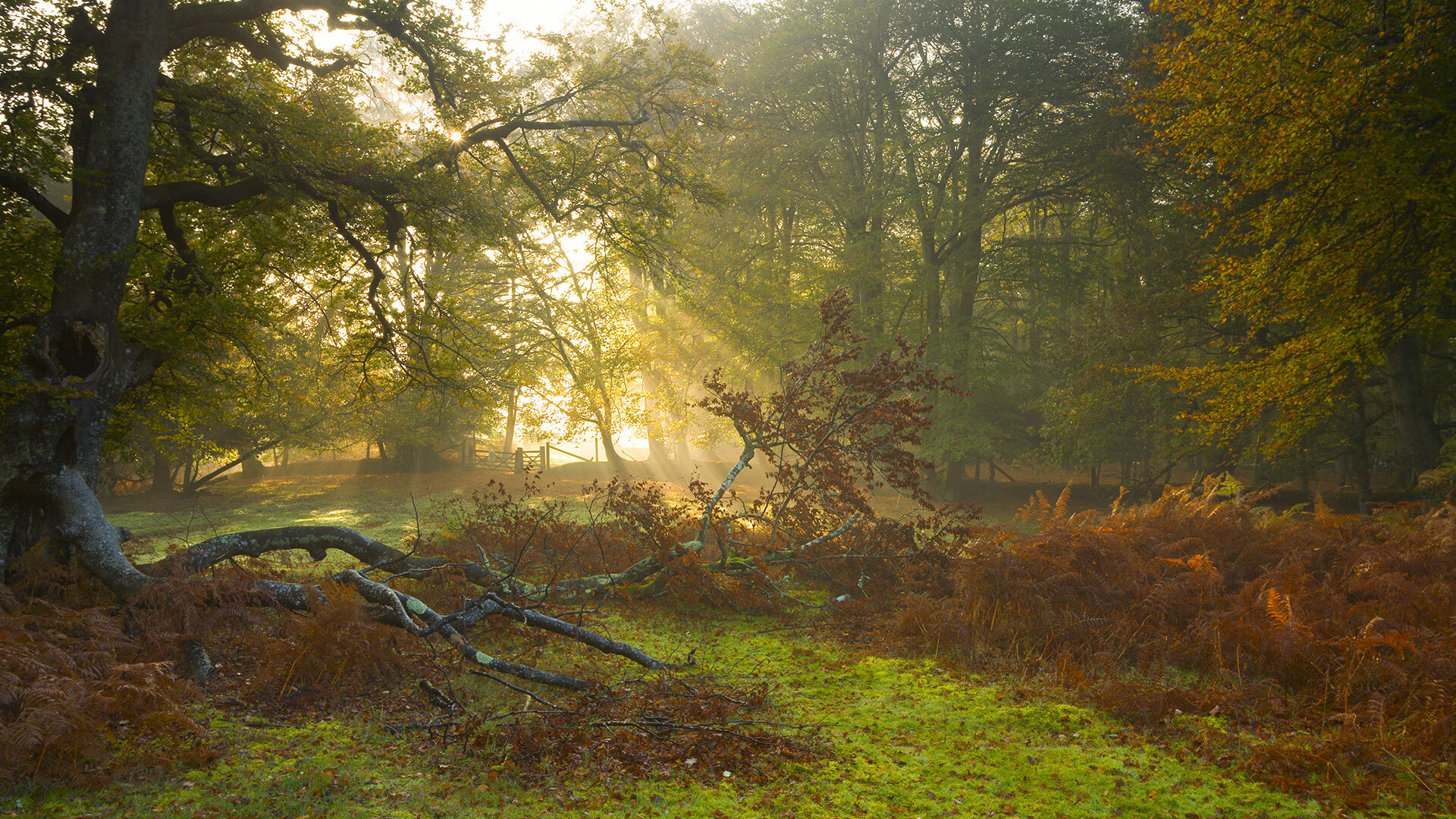 开云官网-辽宁硬仗破丹佛，乔治一杆枪彻底击穿掘金铁壁防线