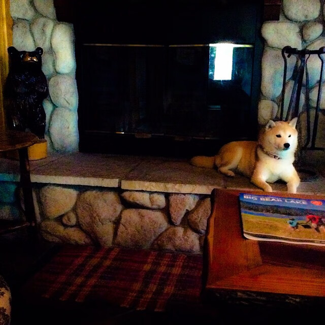 开云体育平台APP-暗夜刺客利拉德，一记三分刺破辽宁不败金身