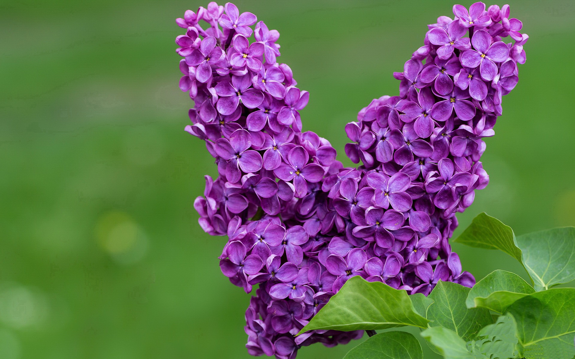 开云体育中国-有一种胜利，从不喧嚣，静默领袖如何接管比赛